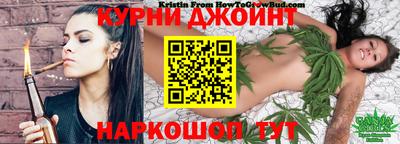 сатива Гатчина