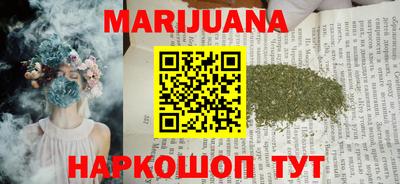 сатива Гатчина