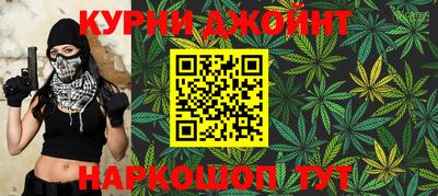 сатива Гатчина