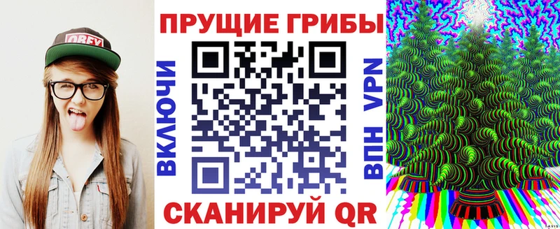 Псилоцибиновые грибы Cubensis дарнет шоп Зерноград