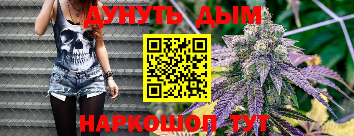 Каннабис сатива  Каннабис сатива  Зерноград  Вход с VPN 